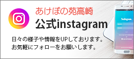 インスタグラム